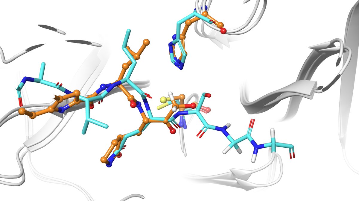 Our work about covalent inhibition of SARS-CoV-2 3CL protease with PF-00835231 is already online and open access in <a href="/angew_chem/">Angewandte Chemie</a> 
doi.org/10.1002/anie.2…
A work with <a href="/CarlosRTNT/">Carlos Ramos</a> and <a href="/JavierR55880955/">Javier Ruiz</a> 
Thanks to @GVAinnova <a href="/CienciaGob/">Ministerio de Ciencia, Innovación y Universidades</a> <a href="/BSC_CNS/">BSC-CNS</a> and <a href="/SI_UVEG/">Servei d'Informàtica - UNIVERSITAT DE VALÈNCIA</a>