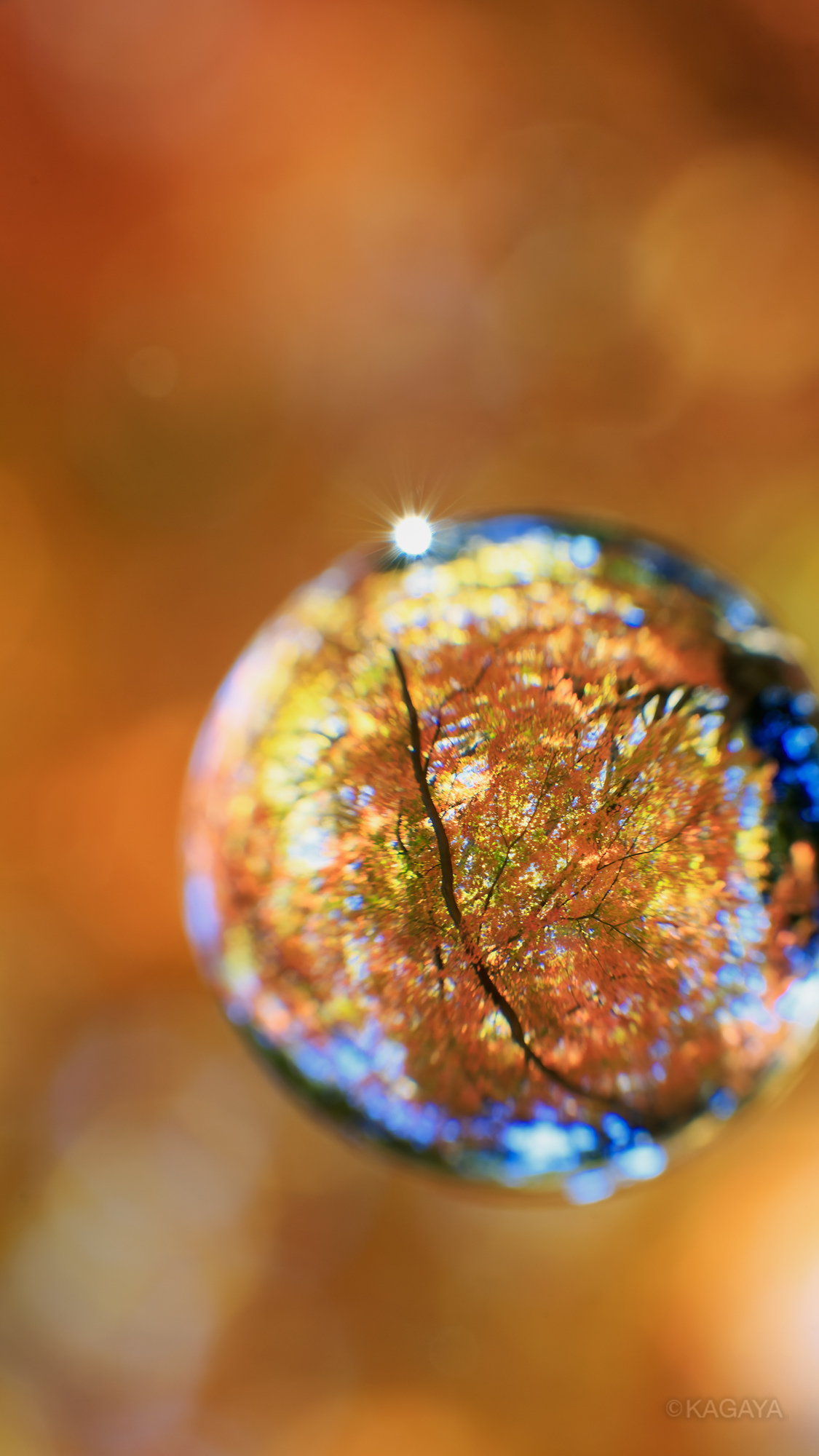 Kagaya 秋色の宝石たち の壁紙です どうぞお使いください スマートフォン用です 加工したり他の人に配布したりはしないでくださいね リツイートはうれしいです 今日もお疲れさまでした 明日もおだやかな一日になりますように