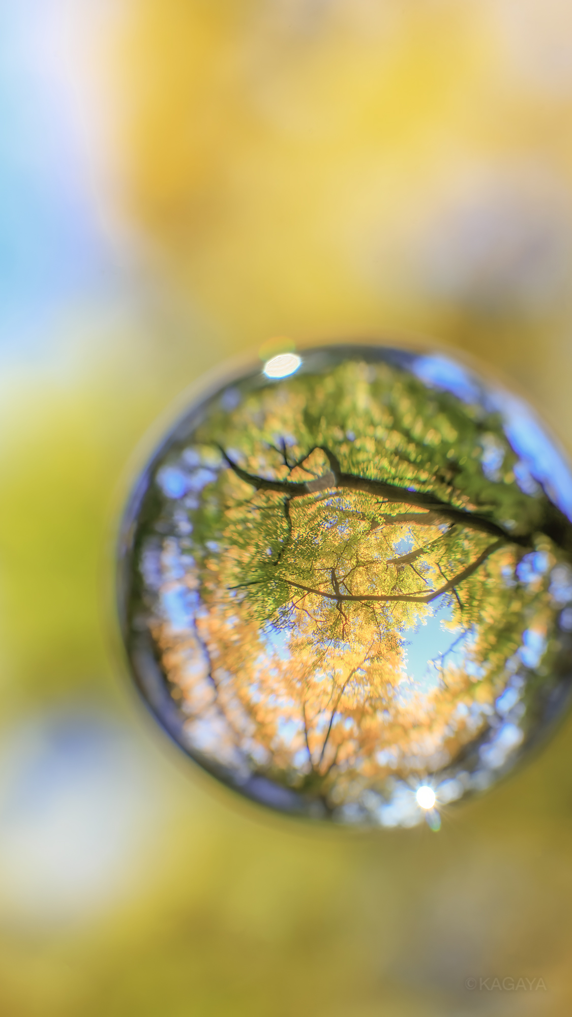 Kagaya 秋色の宝石たち の壁紙です どうぞお使いください スマートフォン用です 加工したり他の人に配布したりはしないでくださいね リツイートはうれしいです 今日もお疲れさまでした 明日もおだやかな一日になりますように