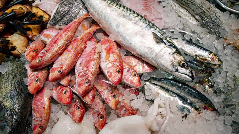 .@Andersbar gør efter et år med Naturskånsom-mærket: "Vi skal have ændret en industri, og det gør du ikke over natten" buff.ly/3m3dIlH