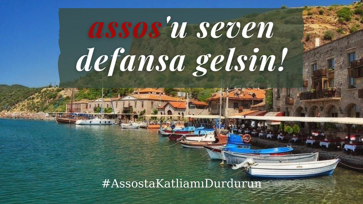 kazdaglariist's tweet photo. Doğayı, tarihi, kültürü ve mitolojiyi seven defansa gelsin!

👉🏿 #AssostaKatliamıDurdurun https://t.co/NRuK3PMIqu