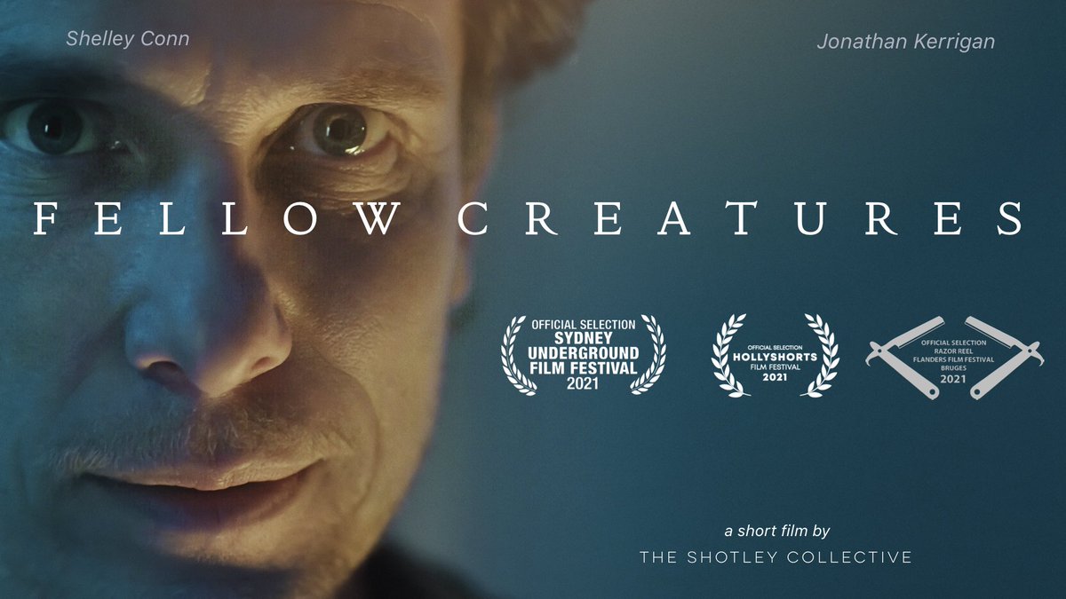 FELLOW CREATURES - A Short Film 💙 🇺🇦 tweet media