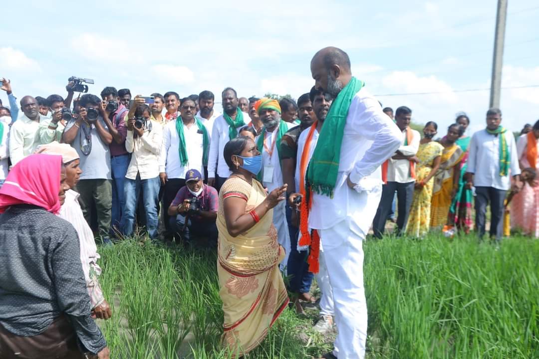 bandisanjay_bjp's tweet photo. దేశ ఆహార భద్రతలో మహిళా రైతులు, కూలీలు కీలక భూమిక పోషిస్తున్నారు. పాదయాత్రలో భాగంగా పాపన్నపేటలో వరి పొలంలో కలుపుతీస్తున్న మహిళామణులతో మాట్లాడి వారి సమస్యలు తెలుసుకున్నాను.
#PrajaSangramaYatra https://t.co/2gfFiXVSno
