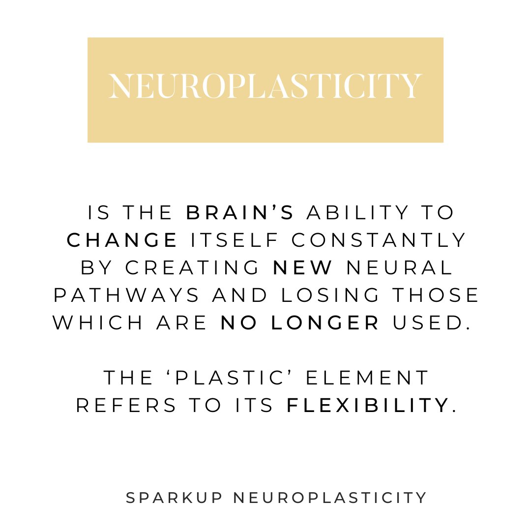 SparkUpNeuroplasticity tweet media