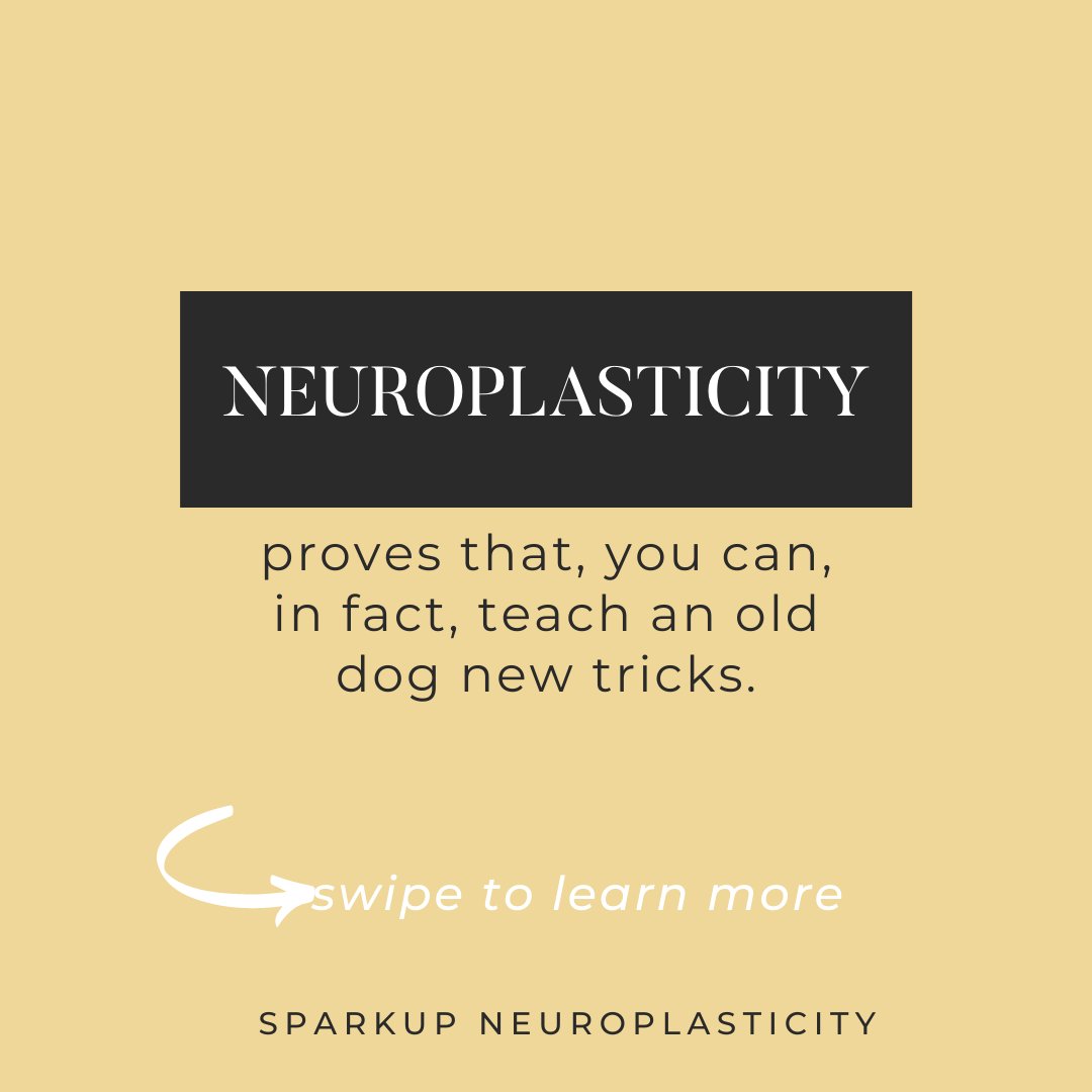 SparkUpNeuroplasticity tweet media