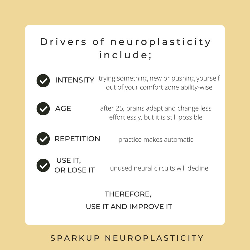 SparkUpNeuroplasticity tweet media