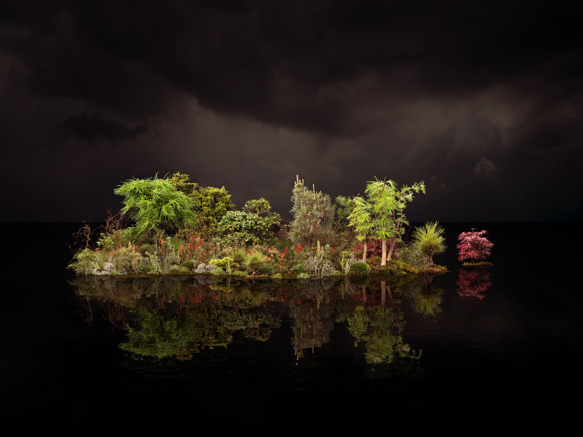 Dutch Igloo tweet media