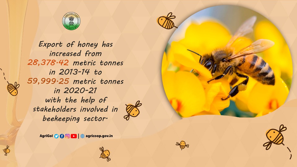 Export of honey has increased from 28,378.42 metric tonnes in 2013-14 to 59,999.25 metric tonnes in 2020-21 with the help of stakeholders involved in beekeeping sector.
#NBHM