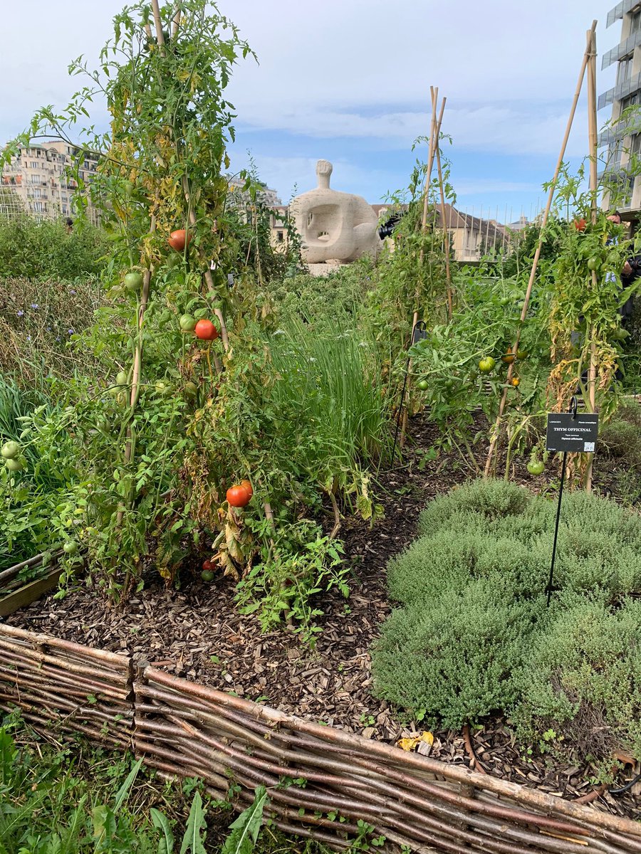 Avec <a href="/AAzoulay/">Audrey Azoulay</a> pour l’inauguration du double potager de l’ <a href="/UNESCO_fr/">UNESCO en français</a>, à Paris 7ème. Bravo à <a href="/Noocity_Co/">Noocity</a> lauréat de #Parisculteurs 3 pour cette belle installation, aux côtés de <a href="/DPA_education/">Deyrollepourl'Avenir</a> #Alimentation #Proximite #AgricultureEnVille 🥬🥕🌸🍐🍏 Cc <a href="/datirachida/">Rachida Dati ن</a> @GillesLeGendre