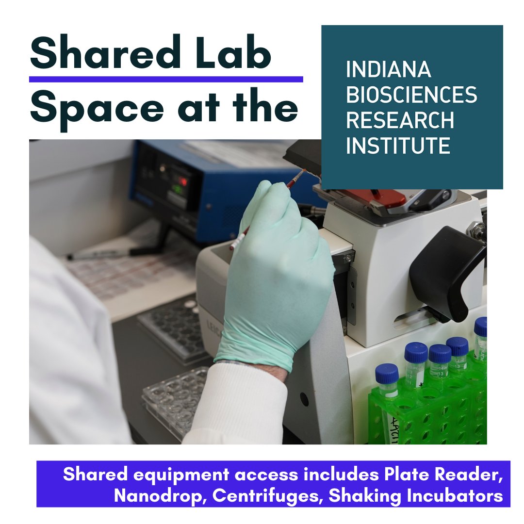 1776 Indianapolis tweet media