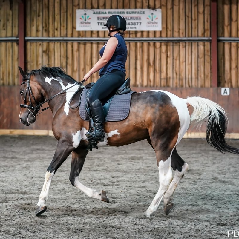 aviform's tweet image. Looking fantastic and keeping Strong with Suppleaze Progen 🐴✨