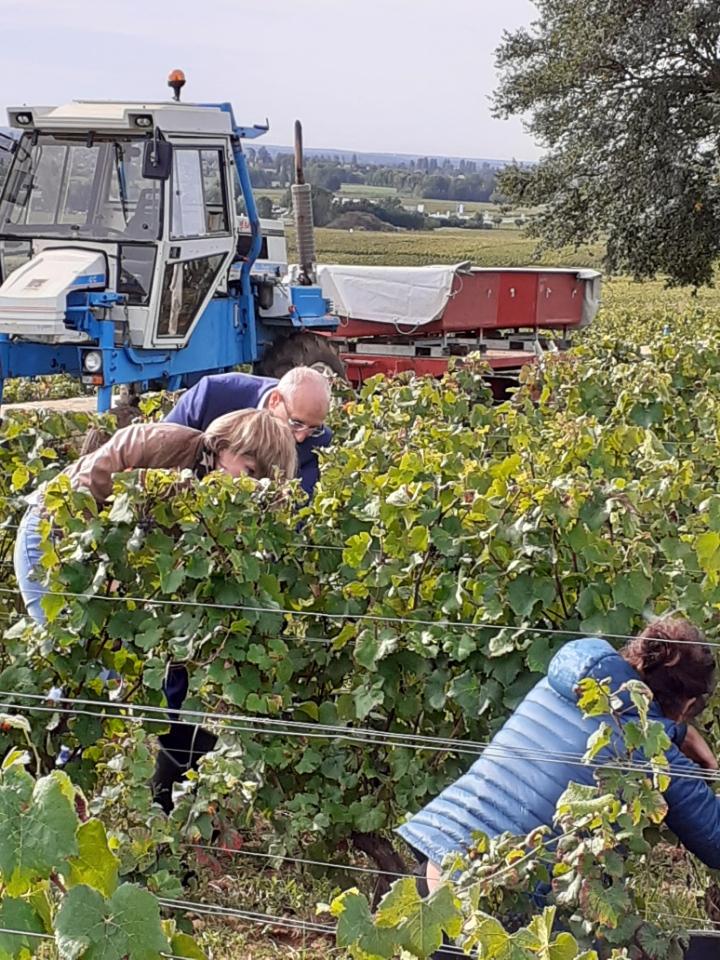 Prefet21_BFC's tweet photo. Le Préfet SUDRY est aujourd'hui au cœur des vignes côte-d'oriennes pour saluer et soutenir la profession #viticole alors que les vendanges battent leur plein. Visites de la Maison #Bichot, du Domaine du #ClosFrantin et du Domaine Cornu Edmond et Fils.
#CAVB https://t.co/XhYHtfOlYl