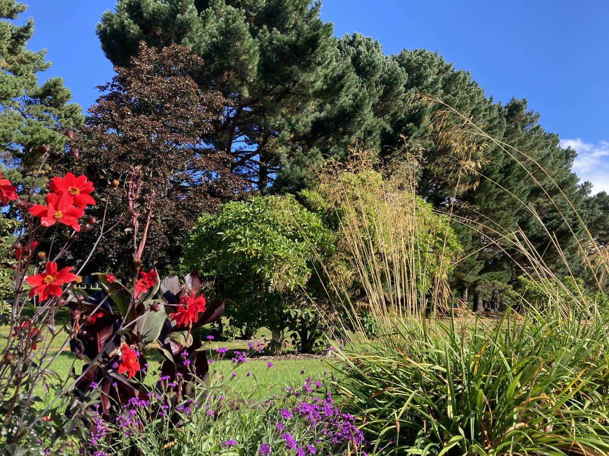 We're thrilled to be teaming up with <a href="/UofEBusiness/">University of Exeter Business School</a> to provide some of their students with a market research case study. We can't wait to see what they come up with! As well as giving a talk yesterday, we had the added bonus of enjoying the beautiful green spaces around campus🌳🪶