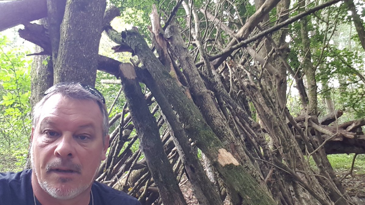 Dave Mitchell tweet media