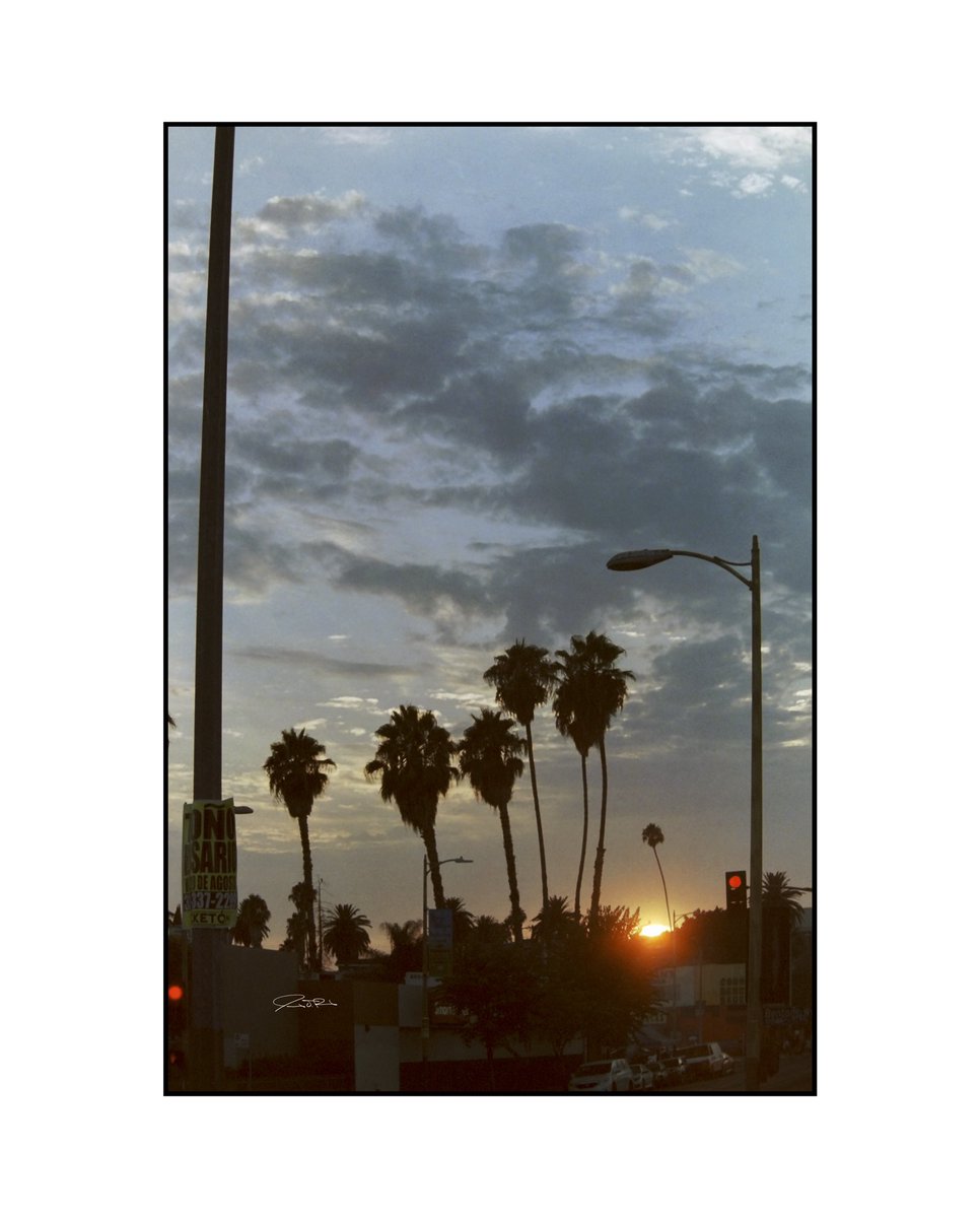 NotJamesParsons's tweet image. Sunset on Beverly.

8/14/2021

.
.
.

#35mm #35mmfilm #kodak #portra800 #sunset #hollywood #losangeles #california #cadillac #wanderlust #travel #filmphotography #film #photooftheday #analog #filmcommunity #shotonfilm #shootfilm #drivebyfilm #streetphotography #madewithkodak