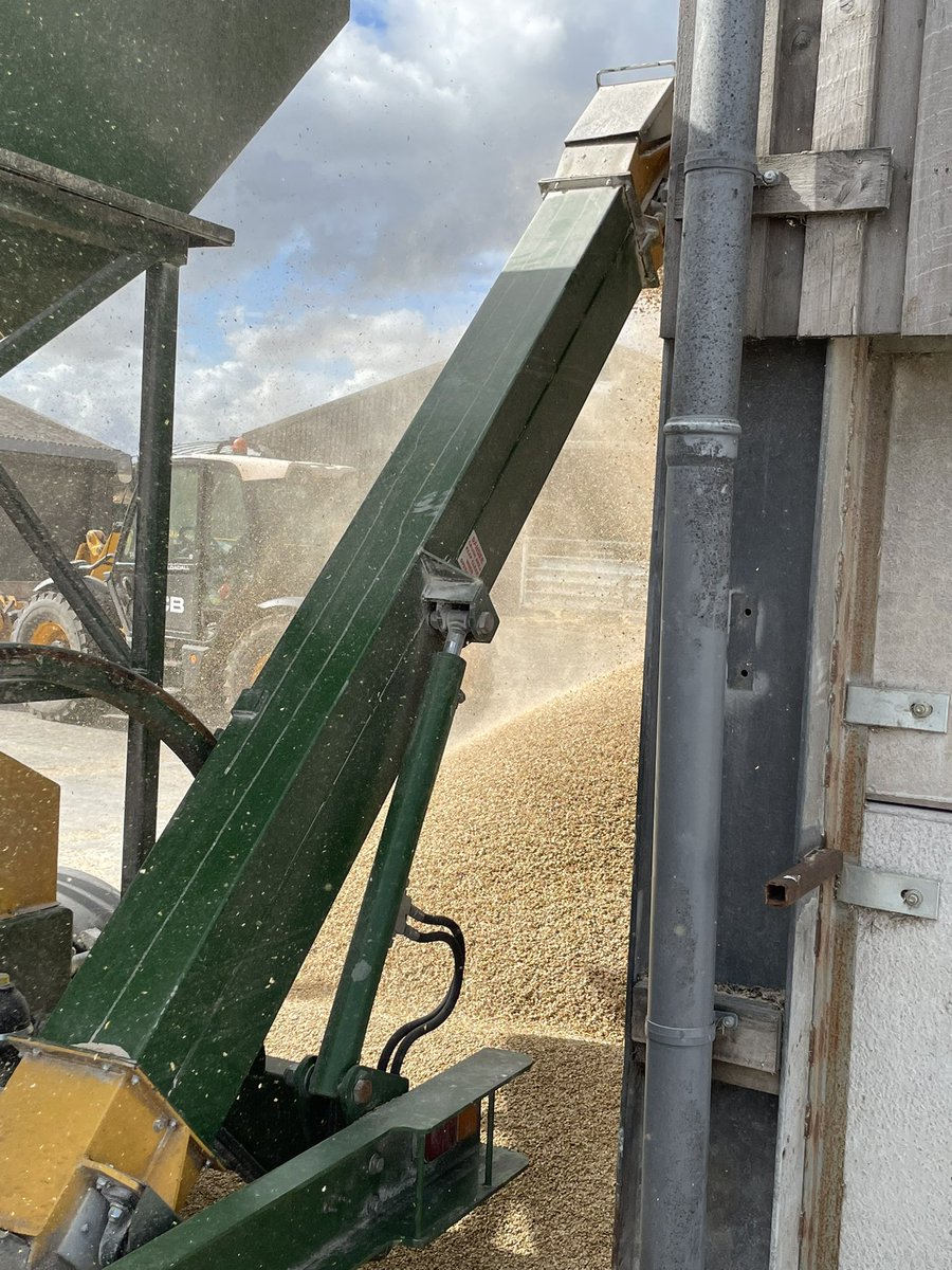 seriousbeefin's tweet photo. Name a worse job when it’s going badly, I’ll wait… #torture #swirlingwind #showertime https://t.co/VsR7kIZZQo