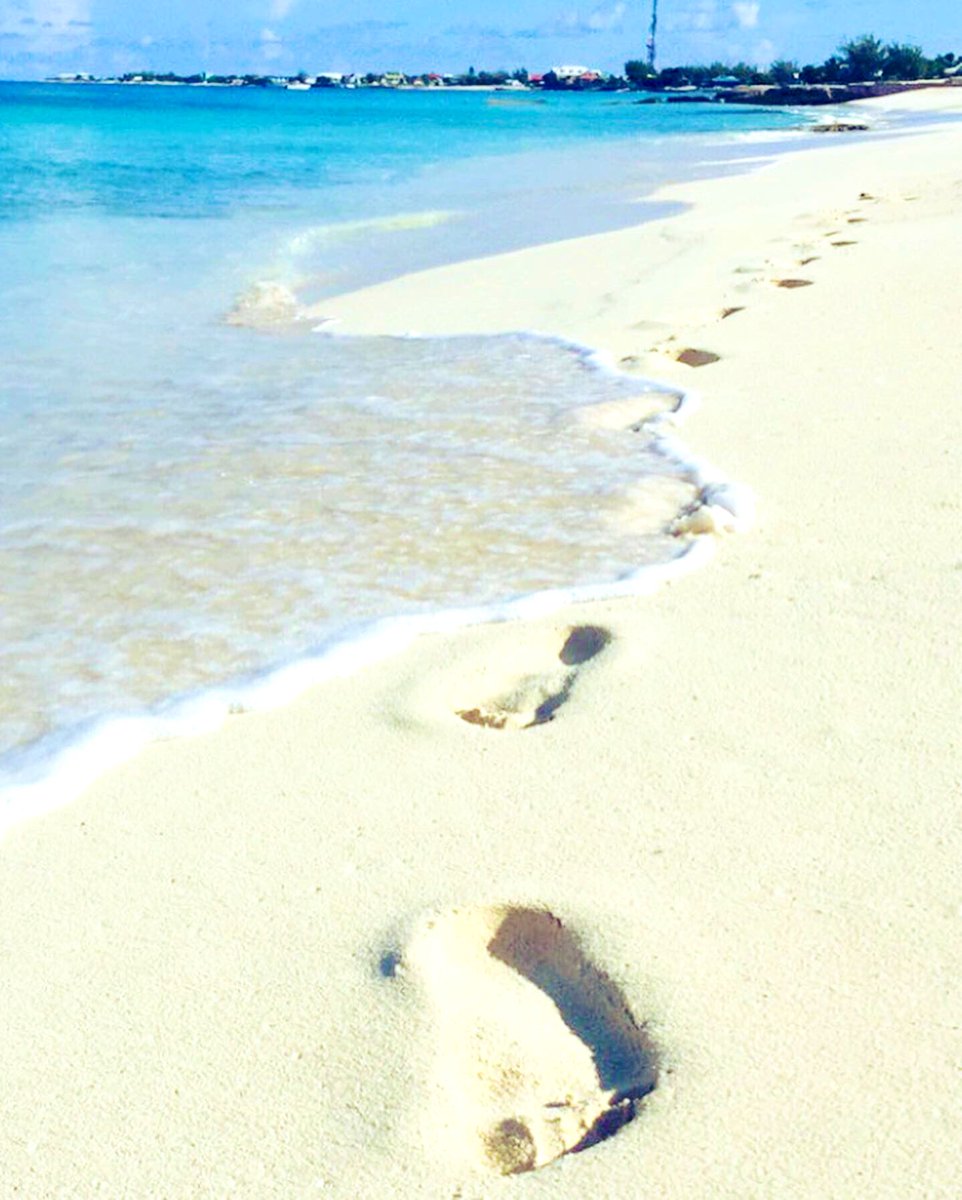 Alonzo_Mora's tweet photo. Found a beautiful sand dollar.... 🐚☀️👣🌊🐾🏝🇹🇨🥰
#Turksandcaicos 
#GrandTurk
#beachlife 
#islandLife 
#Caribbean 
#BeautifulByNature
#CleanByChoice 
#Blessings https://t.co/vyCVzl2E8i