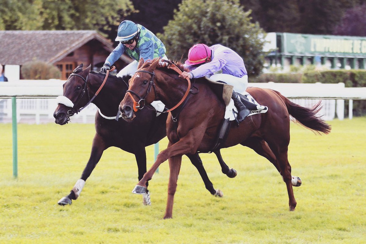 davidcottin's tweet photo. 💕 ROCK ME💕 la courageuse n’a rien lâché dans la dernière ligne droite. Notre petite alezane et son jockey @etiennecapdet peuvent être fière de cette performance! Bravo à toute mon équipe et l’entourage de la belle! https://t.co/ZO9iWjxDNS