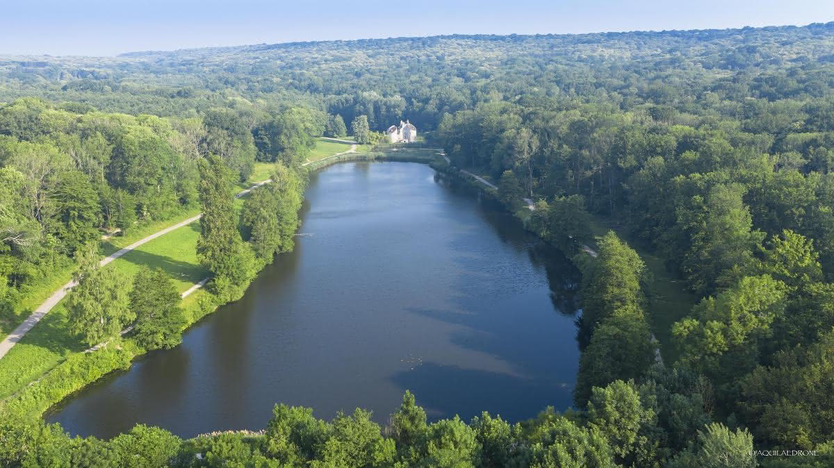 ShrubbiesNFT's tweet photo. Who doesn't like Forests and Lakes? 🌳
As part of our Roadmap, we have planned to buy forests for our Holders! 🌲🌱

#ShrubbiesNFT #NFT #NFTs #NFTShill #NFTCommunity #BAYC https://t.co/dzPB9bWU2L