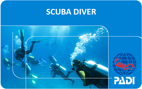 PADI Scuba Diving Certification on Your Puerto Vallarta Vacation Silent World Divers silentworlddivers.com/padi-scuba-div… godive@silentworlddivers.com #scuba #scubadiving #travel #tourism #PADI #PuertoVallarta #RivieraNayarit #Millennials #babyboomers  #retirement