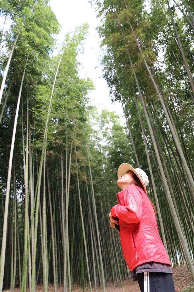 문왕수 (@shiri_300) on Twitter photo 