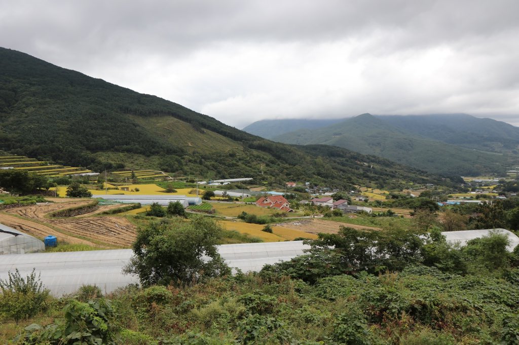 문왕수 (@shiri_300) on Twitter photo 