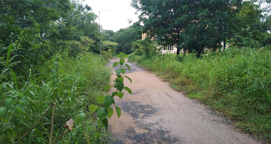apratimsai9's tweet photo. #Growing Away From the Crowd,
Is Hard, Is an #Art and Needs a Big #Heart!
🚩 #FakirMohan University, #Balasore! https://t.co/vVCpZgMNuX