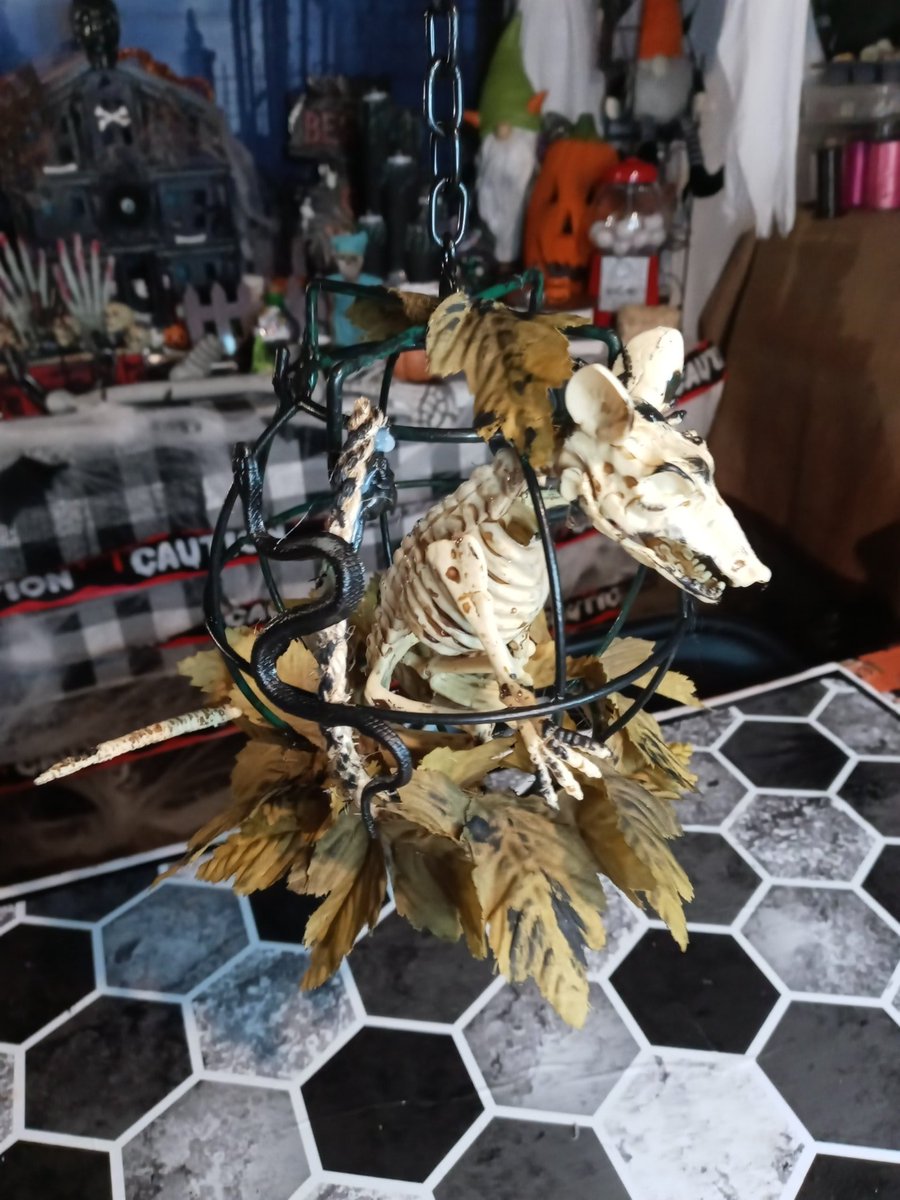 Craftingbarbara's tweet photo. Check Out My New Video Showing You How I Make Halloween Decorations For Full Videos Subscribe To My YouTube Channel Link Here👇
https://t.co/qFIKsOUXVc
#crafting #craft #Halloween #art #artist #Halloweencraft #howto #Gifted #craftingwithbarbara #YouTuber #halloweendecorations https://t.co/TU1NcPmgHS