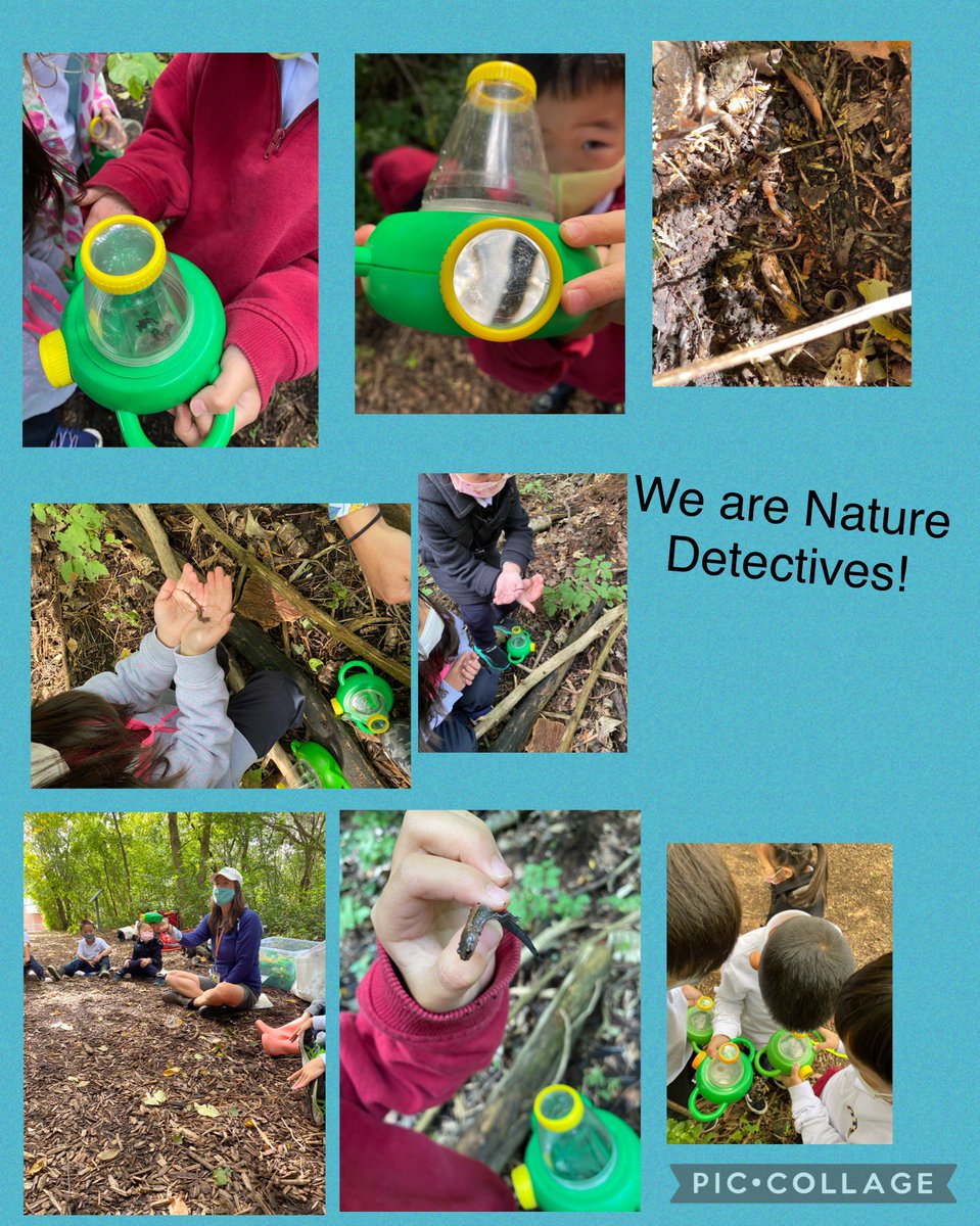 Learning to be responsible citizen of nature. Some of our friends used their growth mindset to touch some wonderful creatures. “I am so nervous to touch - Look at me Mrs.Fisher I am using my growth mindset!” <a href="/HTSRichmondHill/">HTS Richmond Hill</a>
