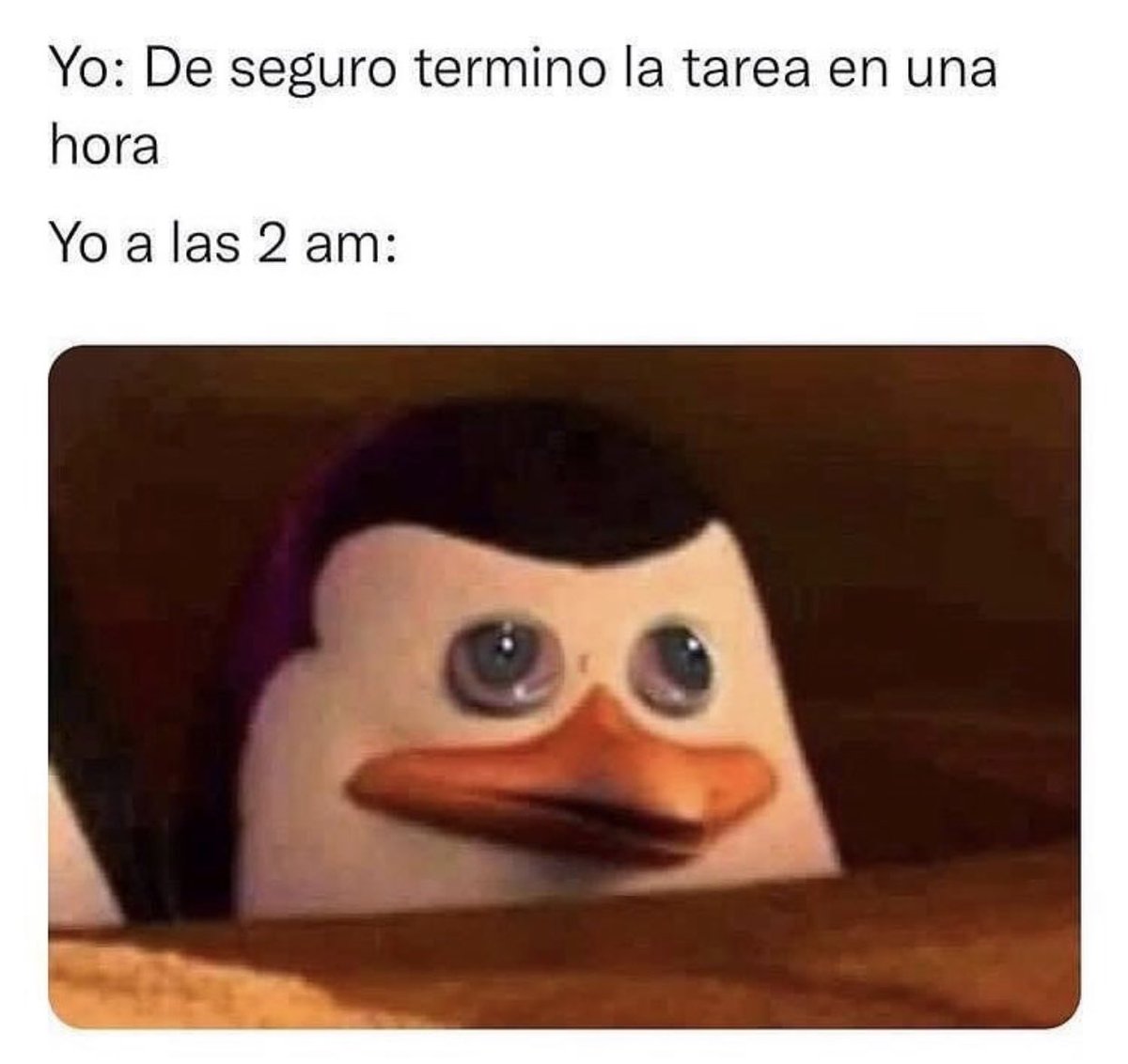 AndresN4VY's tweet photo. Así me pasa con la edición😅🤣 https://t.co/0hFR1DneIH