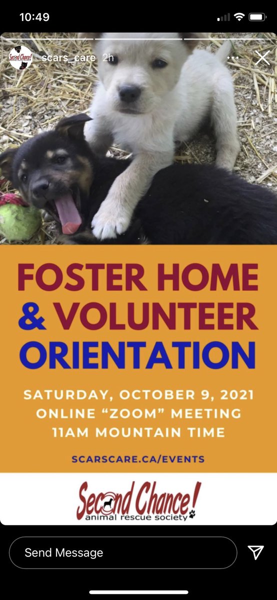 SCARS_Alberta's tweet photo. Join us on October 9 if youโd like to volunteer or become a foster home! #AdoptDontShop #supportlocalrescue #yeganimalrescue #animallovers https://t.co/ATGCEmbyjH