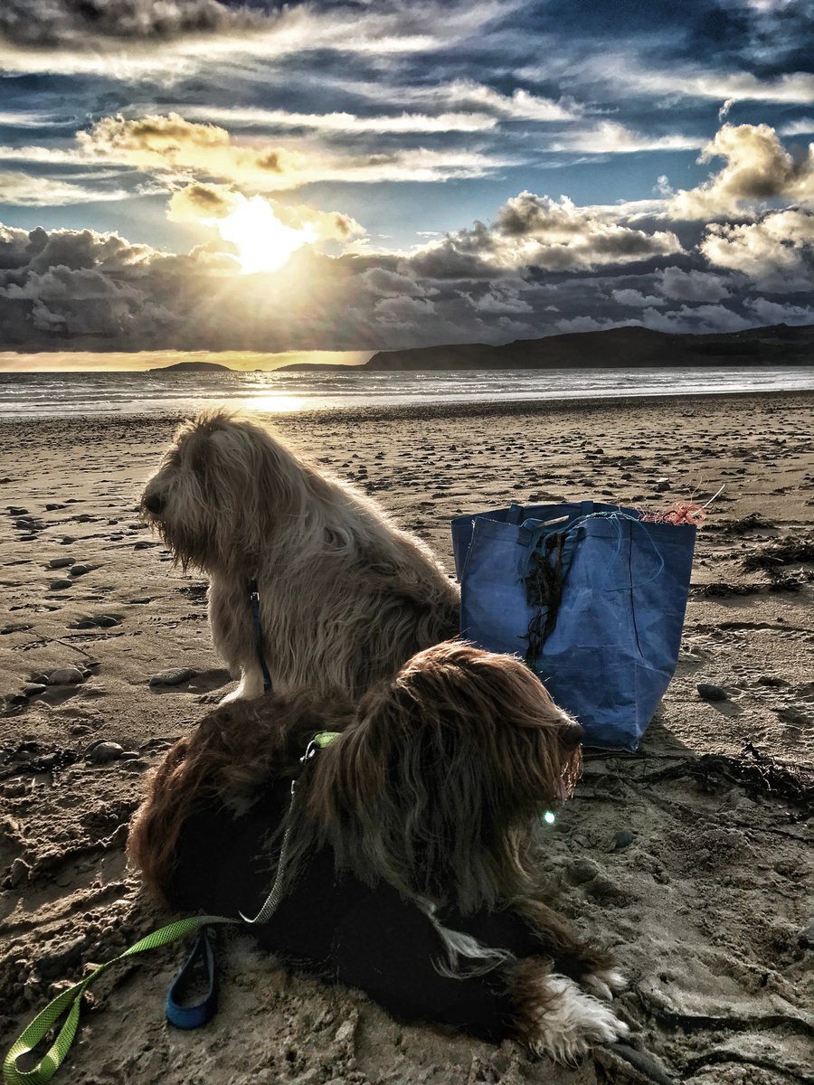 Back down this evening for another bagful!!