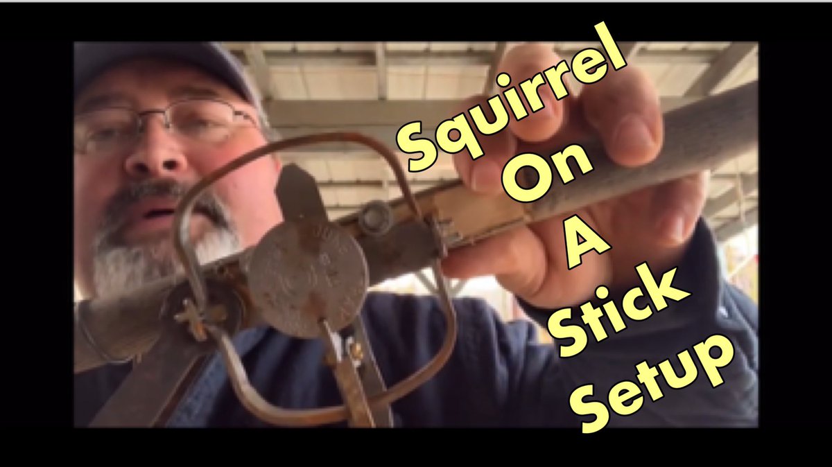 MilnerMerchant's tweet photo. I am showing you how I set up my squirrel on a stick traps and when I use them. I use a Duke #1 and a Duke body grip trap for these traps. #squirreltrap #trapping #squirrelonastick
https://t.co/hWIKfBJZlD https://t.co/61uVJsd270
