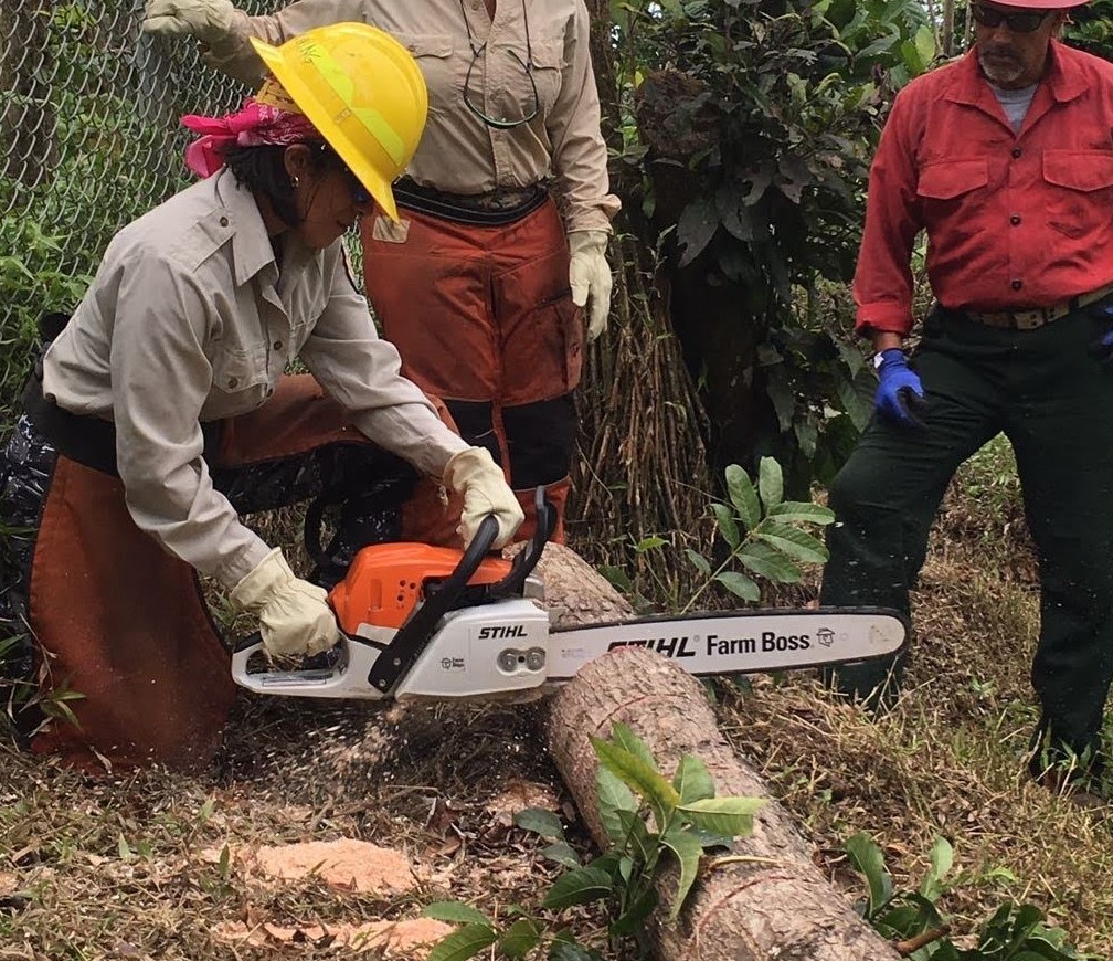 DOICareers's tweet photo. #PeopleofInterior “Working with the Puerto Rican Parrot, the only parrot species in the U.S. is an honor. There are several natural challenges to conserving the parrot but having a great team of professionals is gratifying!” Marisel López Flores, Project Lead @USFWS
����@msstate https://t.co/tFzGdO9M04