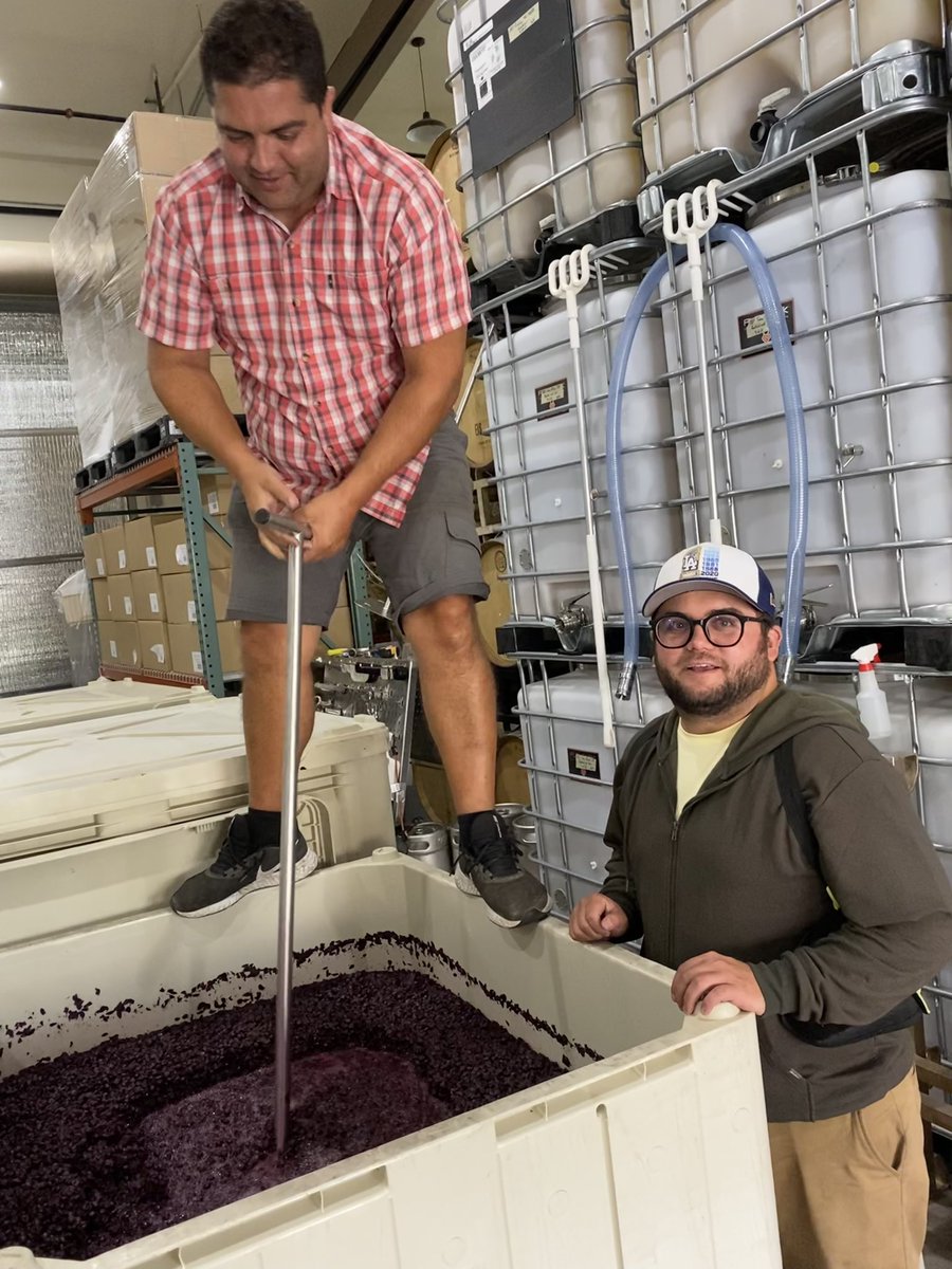 AkashWinery's tweet photo. #harvest2021 #punchdowns Harvest is coming along nicely! https://t.co/HU4CMhEoXg