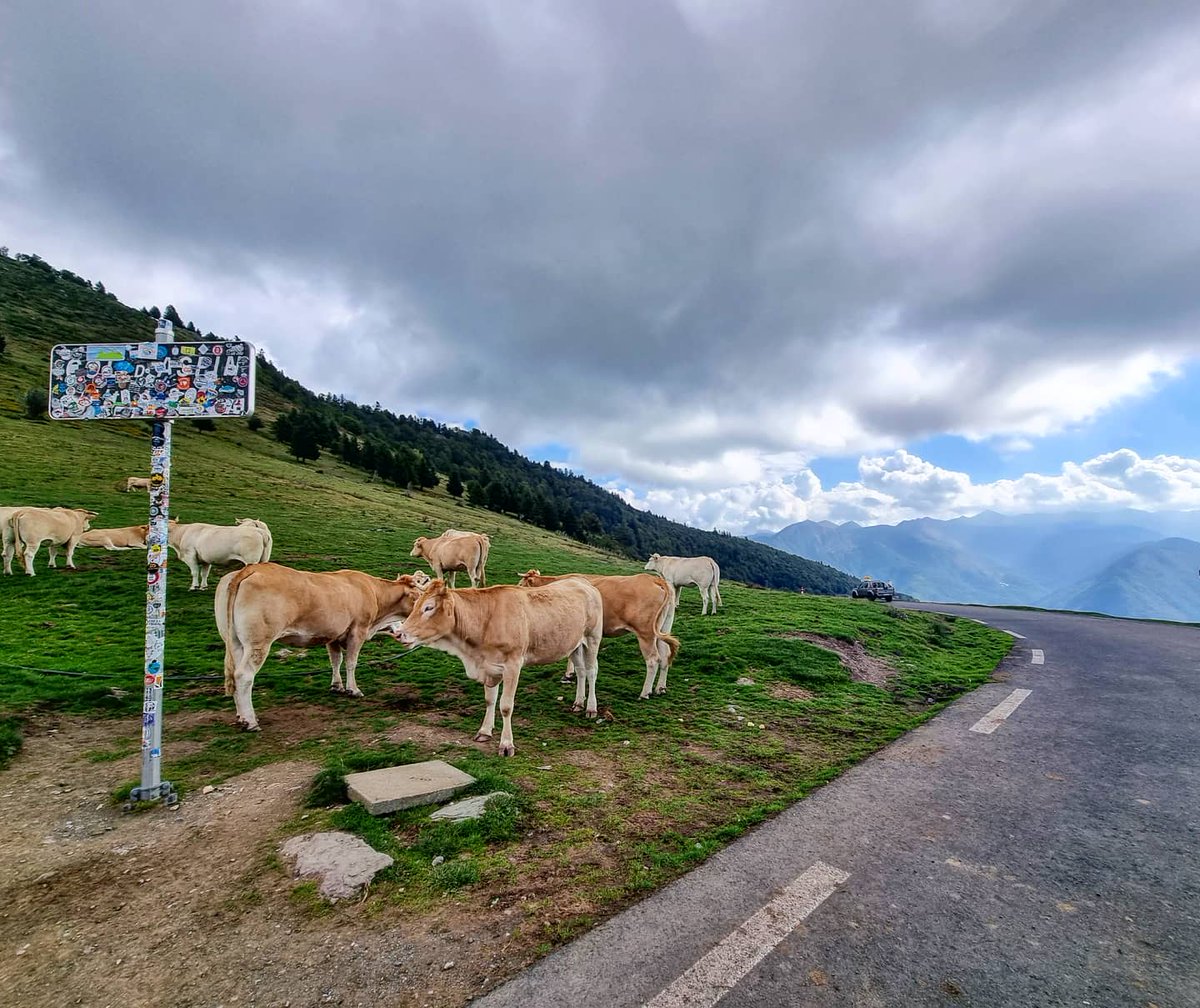 ricardrigall's tweet photo. El col d'Aspin (1.489 m). #coldaspin #arreau #saintemariedecampan #hautespyrenées #altspirineus #occitània #occitanie #bicicleta #btt #mtb #tardor2021 https://t.co/zZcSHdjqSQ