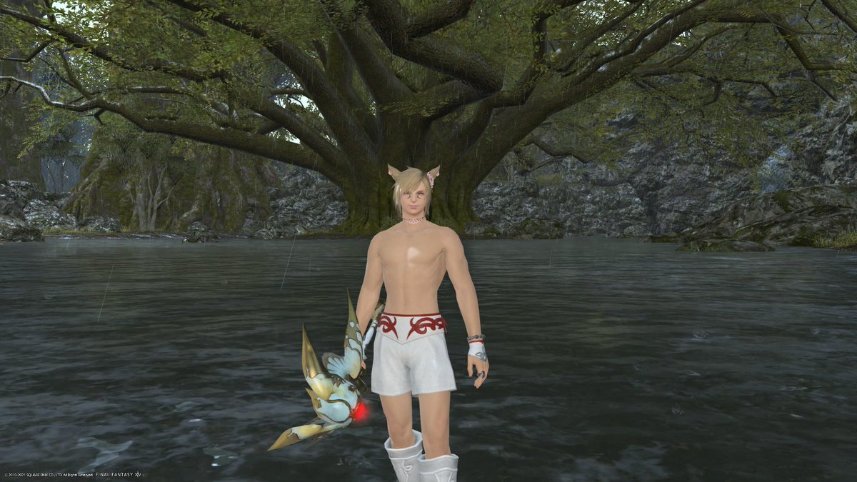 Lux_TheLight's tweet photo. Say hi to L'ux Tia, he is mainly a White Mage on Cerberus. Favourite area as a whole is Gridania where he can be in tune with nature. So here he is by the Guardian Tree and Syphlands! 
Hopefully he will get to know more guys as time goes on? Feel free to have a chat with him😋❤️ https://t.co/0X6oXhbJBi