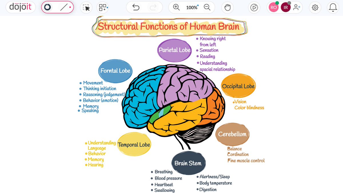 AsmaHabib007's tweet photo. Structural Functions of Human Brain
#dojoit #onlinewhiteboard
#BRAINWAVES #Brain #HumanBrain #LeftBrain #RightBrain #UXUIDesign
#BrainArmstrong #Design #Education #Learn #Braintypes
https://t.co/1nQreSGS0H
Did you find it amusing? 🤔. Save and Share it. https://t.co/xghLHk21FS