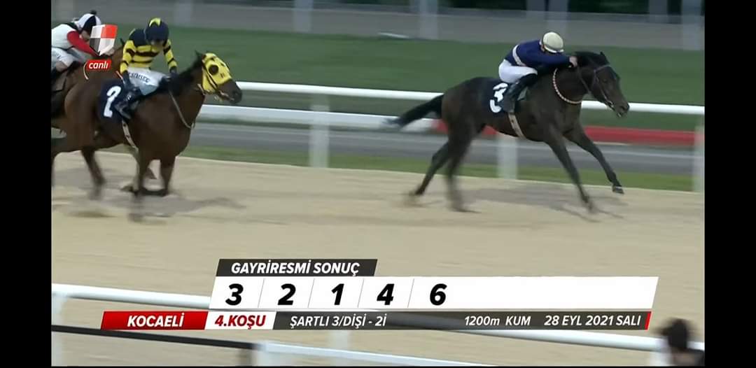 little angel ile kazanıyoruz 🧿🧿🧿