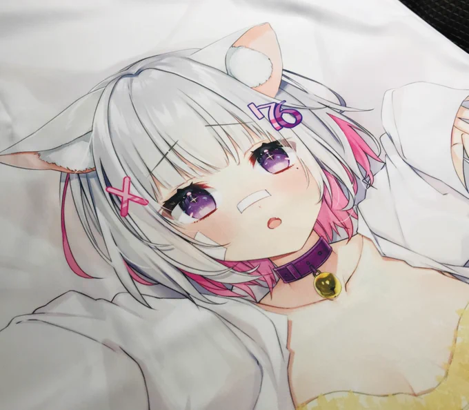 さとうなむちゃんの抱き枕カバー届いた!
顔がかわいすぎる 