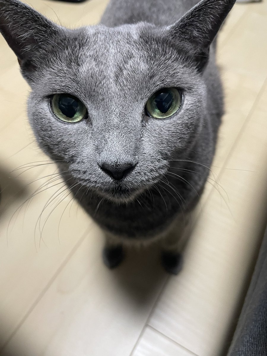NEO71817716's tweet photo. 守っていこう変わらない愛情で😀 https://t.co/np94G7bgWT