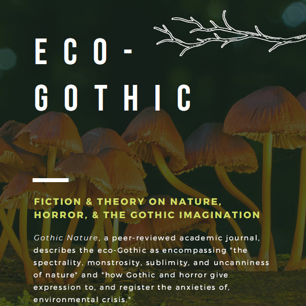 McKillop Library tweet media