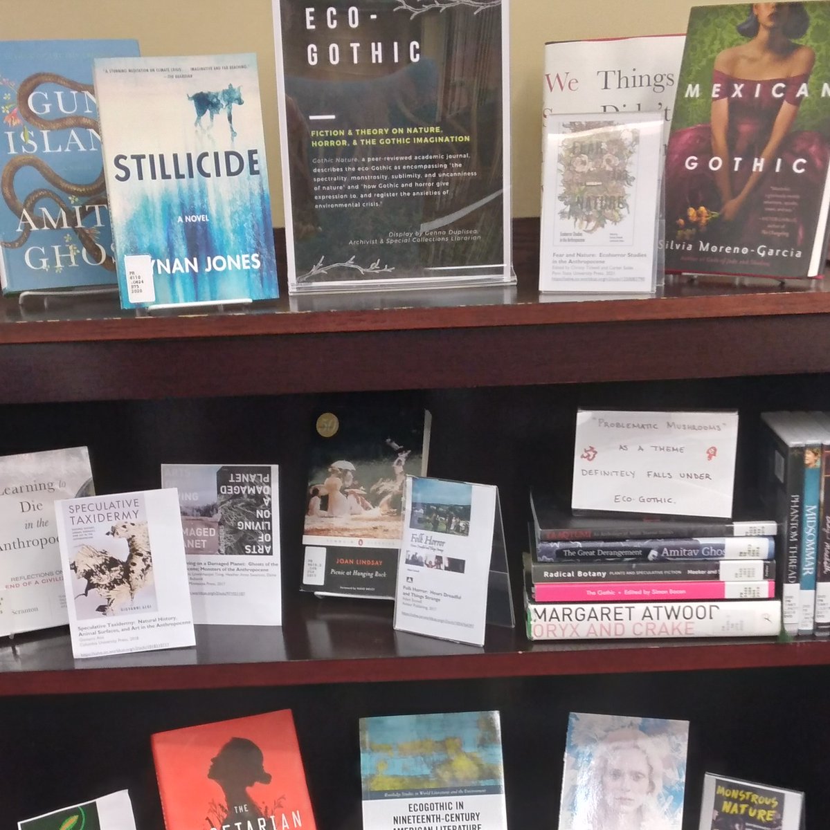 McKillop Library tweet media