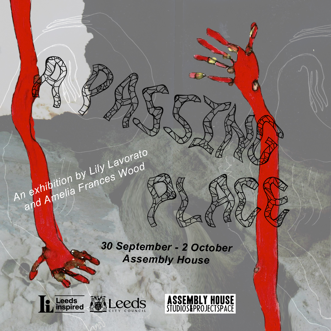 Join us this Thursday evening for A Passing Place 👀

A Passing Place is a new venture in collaborative making for us (Lily Lavorato and Amelia Frances Wood). 

Open Thursday 30th - Saturday 2nd October
