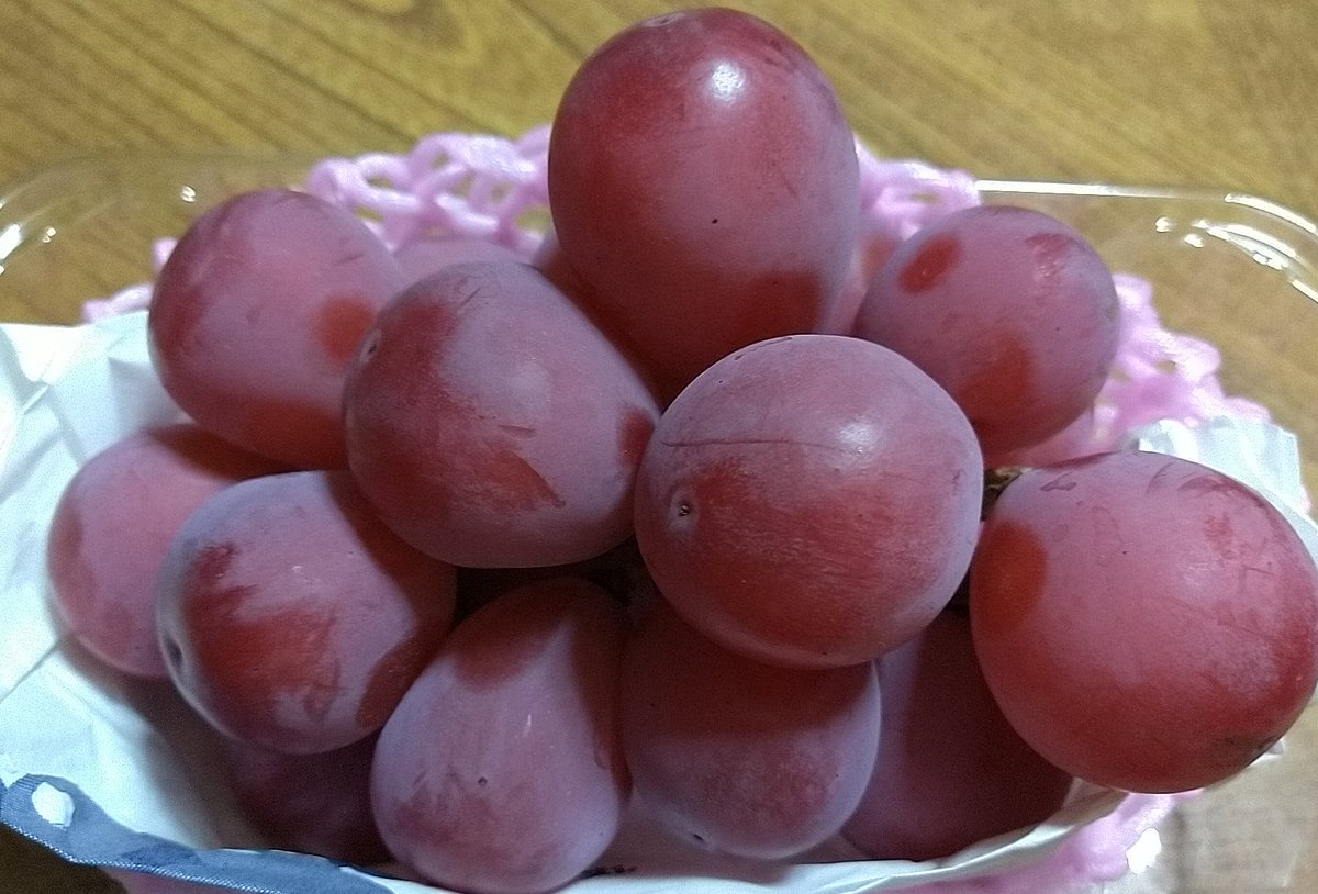 sunshinerumi's tweet photo. #クイーンニーナ ?
#クィーンニーナ ?
食べる前から、甘い香りが漂う!
とても大粒でジューシー!!
酸味、渋味、種はナシ
果肉がシッカリしてるから、凍らせると面白いみたい
皮は食べられないらしいけど、
食べたほうが香りの余韻がヨリ残る気がする
#ぶどう #希少品種 #RareGrape #QueenNina https://t.co/4Y2tv9Wlc7