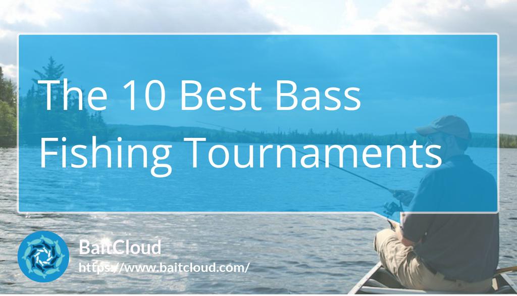 BaitCloud Fishing Corporation tweet media