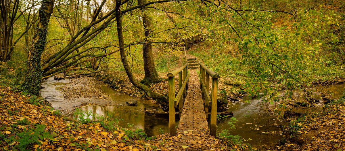 DaveKitsonPhoto's tweet photo. Are you planning your fall colour shots, now that the weather has definitely autumnal? https://t.co/leRfhH4yC8