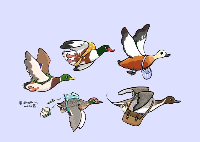 水鴨のtwitterイラスト検索結果