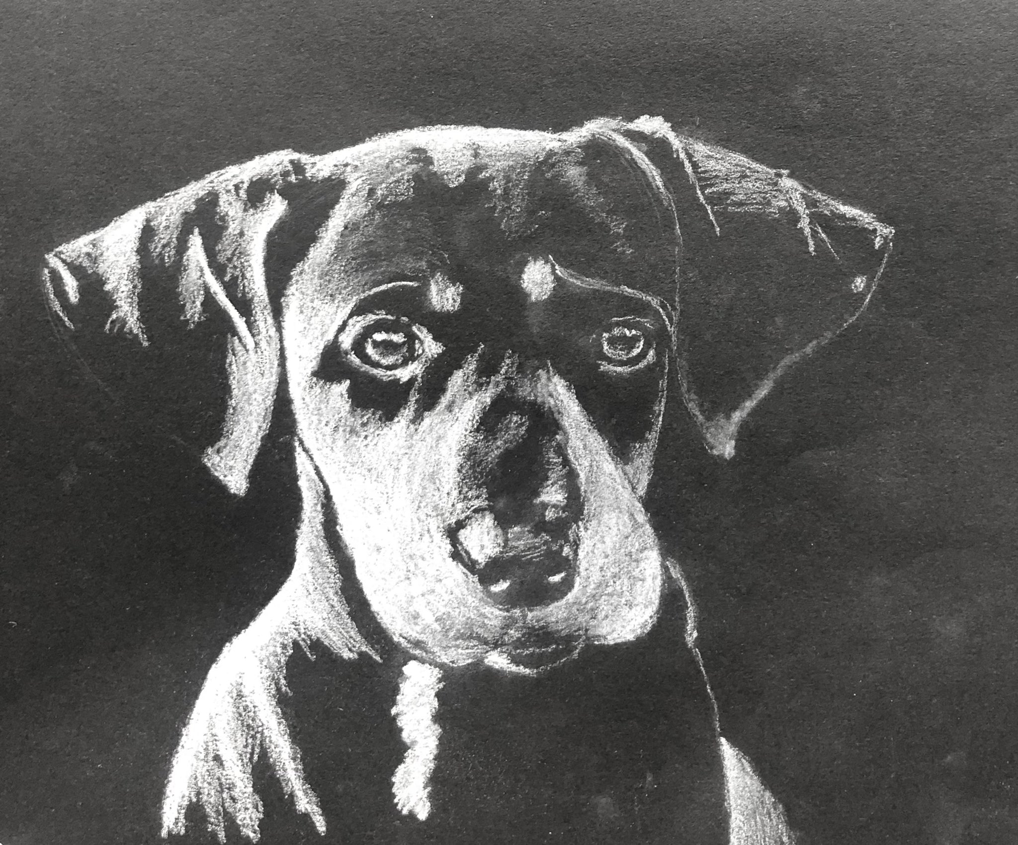 Charcoal Drawing Of Animals