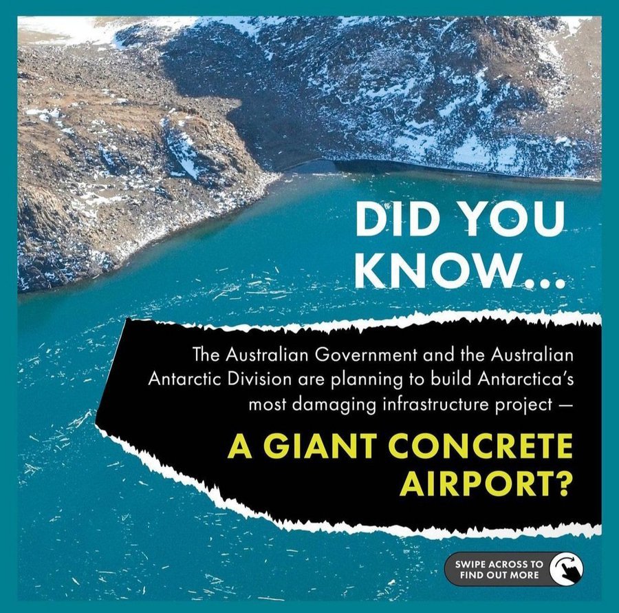 anna_lillith's tweet photo. #ProtectAntarctica #NoAirportInAntarctica #Australia 🦭🌏💙❄ https://t.co/aK0yifnPMc